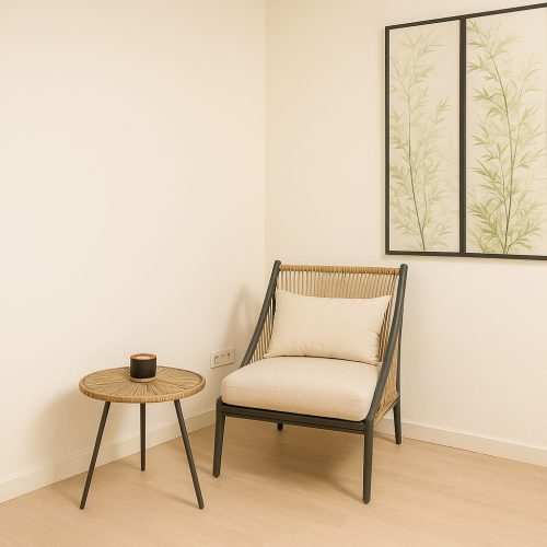 fauteuil port Boinot Maison d'angelique hebergement Niort